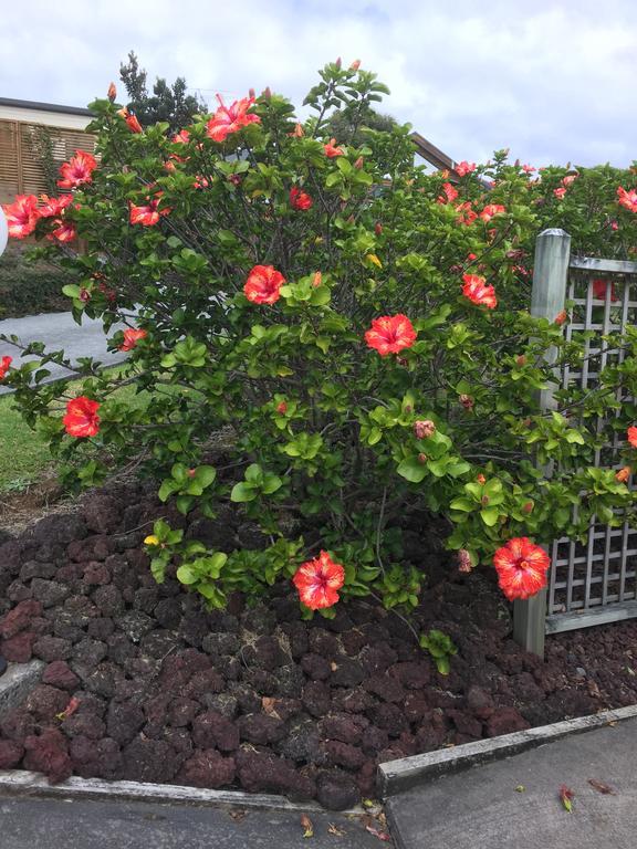 Sunseeker Cottages - Paihia Luaran gambar